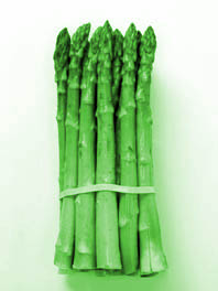  Velours vert aux asperges